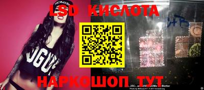 спиды Кингисепп