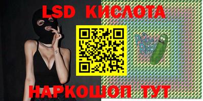 PSILOCYBIN Кинель