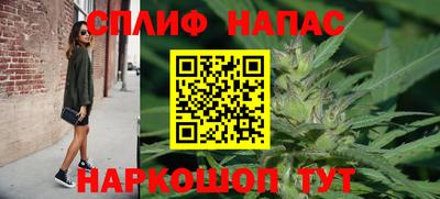 спиды Кингисепп