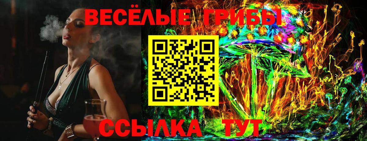 купить наркоту  Вход с VPN  Заринск  Галлюциногенные грибы GOLDEN TEACHER 